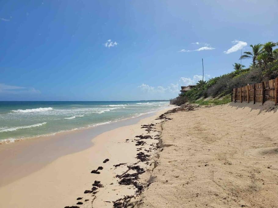 Luxury 5-Br Beachfront Home In Tulum Casa Sofia Gato エクステリア 写真