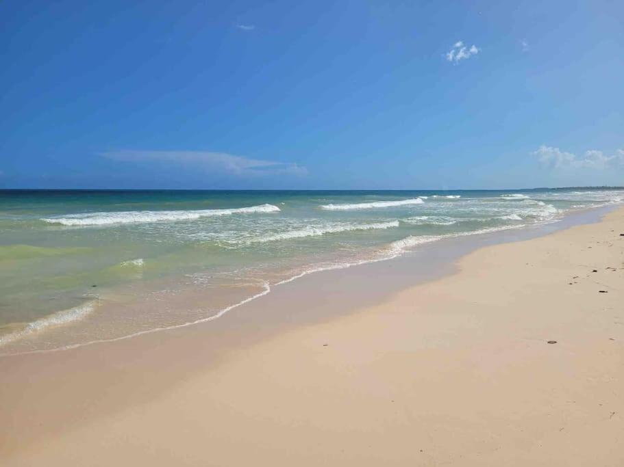 Luxury 5-Br Beachfront Home In Tulum Casa Sofia Gato エクステリア 写真