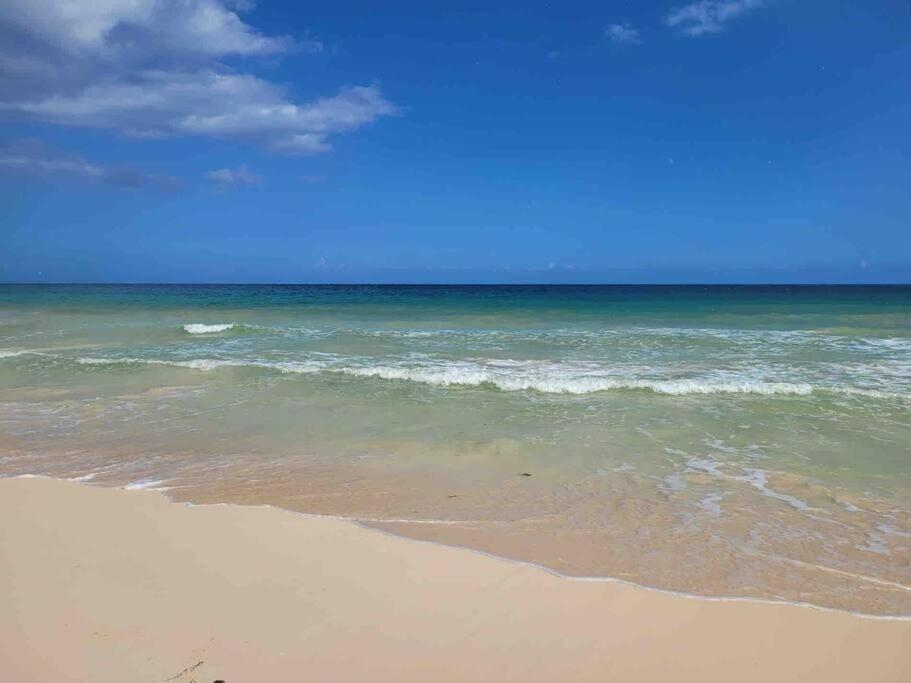 Luxury 5-Br Beachfront Home In Tulum Casa Sofia Gato エクステリア 写真