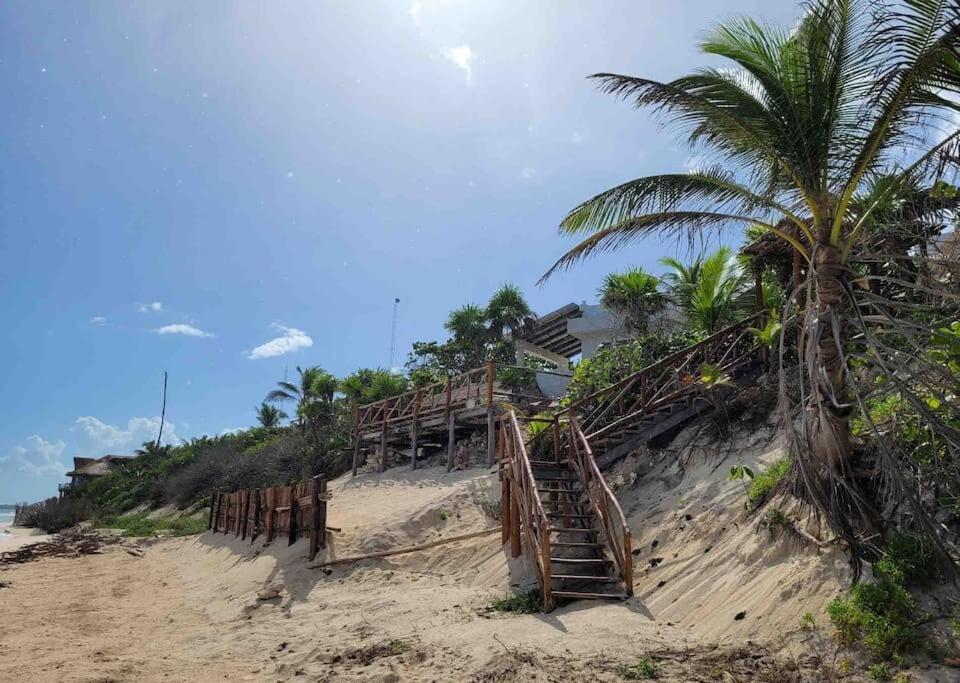 Luxury 5-Br Beachfront Home In Tulum Casa Sofia Gato エクステリア 写真
