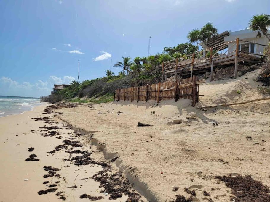 Luxury 5-Br Beachfront Home In Tulum Casa Sofia Gato エクステリア 写真
